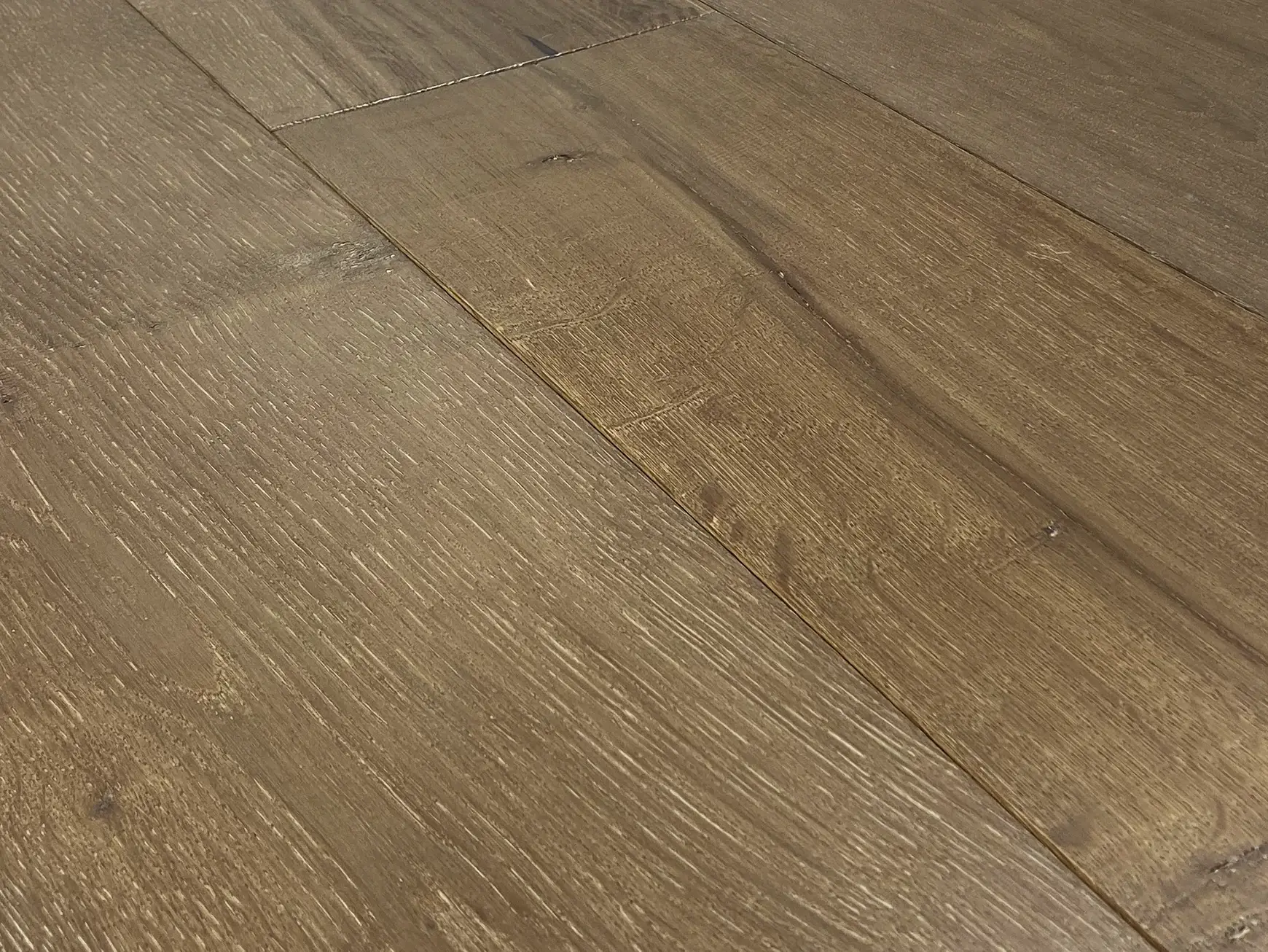 Gabriela EUROPEAN OAK Derby